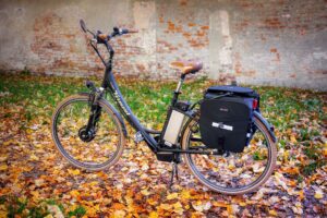 What Is a Leisure Battery