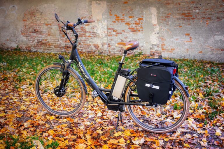 What Is a Leisure Battery
